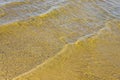 Sandy bottom of a river shot on a sunny spring day. Background for clear water Royalty Free Stock Photo