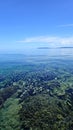 Sunny day above the surface of coral reef of raja ampat, transparent water, algae and corals