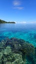 Sunny day above the surface of coral reef of raja ampat, transparent water, algae and corals