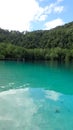 Sunny day above the surface of coral reef of raja ampat, transparent water, algae and corals