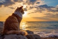Sandy Cat beach sand sunny. Generate Ai Royalty Free Stock Photo