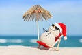 Sandy Christmas Snowman is enjoying the holidays Royalty Free Stock Photo