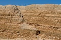 Sandy cliff. Small sandy wall.