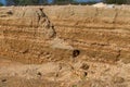 Sandy cliff. Small sandy wall.