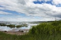 sandy coast of the Gulf of Finland with a grass Royalty Free Stock Photo