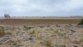 Sandy coast panoramic and lifeguard rescue french station on sand beach wooden hut security white of Gruissan in south france Royalty Free Stock Photo