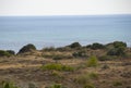 Sandy coast of Turkey, coastline seascape sunny, plant surface