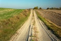 Sandy country road through the fields, Brzezno, Poland Royalty Free Stock Photo