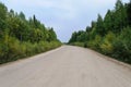 Sandy country road in forest Royalty Free Stock Photo