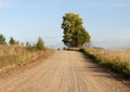 Sandy country road Royalty Free Stock Photo
