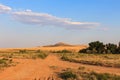 Sandy country road in the salt desert landscape on a hot summer Royalty Free Stock Photo