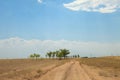 Sandy country road Royalty Free Stock Photo