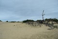 Kittyhawk Dunes, Outer Banks, North Carolina