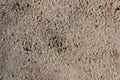Sandy Dirt Ground Clutter Texture - perfect for videogames, web design, visual design or signs! Royalty Free Stock Photo