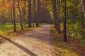 Sandy dirt road in the park in autumn Royalty Free Stock Photo