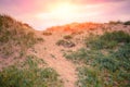 Sandy dune against evening sky. Nature landscape