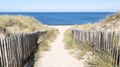 Sandy dunes access coast to sea beach in lege Cap-Ferret coast Atlantic ocean in west france Royalty Free Stock Photo