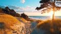 sandy dunes on Baltic beach,sunset on beach ,pine trees,sun reflection on se water