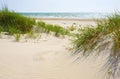 Sandy dunes on a beach of Jurmala.