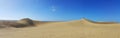 Sandy dunes in famous natural Maspalomas beach.