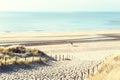 Sandy dunes on the sea coast in Netherlands