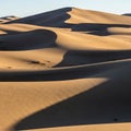 Sandy expanse indicating sparse aridity typical of desert environmen Royalty Free Stock Photo