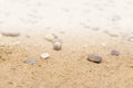 Sandy floor on the beach and shells and stones Royalty Free Stock Photo