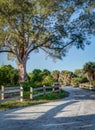 Sandy Florida road leads through cabbage palms in Florida at dawn