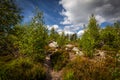 Sandy footpath, in green forest with dramatic blue cloudy sky Royalty Free Stock Photo