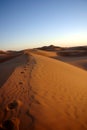 Sandy footprints on Dune Peaks.