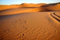 Sandy footprints and tyre tracks