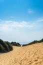 Sandy Formby Beach near Liverpool on a sunny day Royalty Free Stock Photo