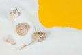 Sandy frame from white quartz sand and shells on yelloww background Royalty Free Stock Photo