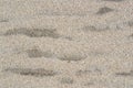 Sandy, grainy surface of orange, gray, white, beige grains of sand with wavy spots of dark, wet sand, closeup shot on beach