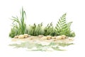 Sandy ground with green grass background. Watercolor illustration. Natural sandy ground with small rocks with green lush