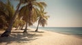 Sandy haven under radiant sun Royalty Free Stock Photo