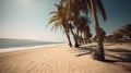Sandy haven under radiant sun Royalty Free Stock Photo