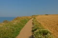 Sandy hiking trail along a field on the ciffs on the French Northe sea coast, Royalty Free Stock Photo