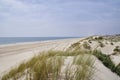 The sandy landscape of Coto de Donana National Park. Royalty Free Stock Photo