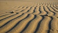 In a sandy landscape create a striking visual effect with gentle Royalty Free Stock Photo