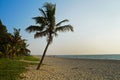 Sandy Marari beach near the city Kochi of India