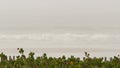 Sandy misty beach California USA. Pacific ocean coast, dense fog on sea shore. Waves in brume haze.