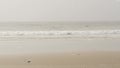 Sandy misty beach California USA. Pacific ocean coast, dense fog on sea shore. Waves in brume haze.