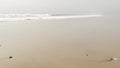 Sandy misty beach California USA. Pacific ocean coast, dense fog on sea shore. Waves in brume haze.