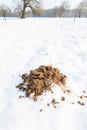 Sandy molehill in winter snow