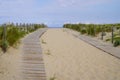 Sandy nature path way access to the beach sea with fence in summer to Cap-Ferret sea atlantic coast in gironde france Royalty Free Stock Photo