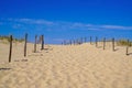 Sandy nature pathway access to beach sea in summer sea atlantic coast in gironde france Royalty Free Stock Photo