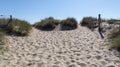 Sandy nature pathway access to beach sea in summer to Cap-Ferret sea atlantic coast in gironde france Royalty Free Stock Photo