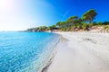 Sandy Palombaggia beach with pine trees and azure clear water, C