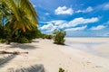 Sandy paradise beach of azure turquoise blue shallow lagoon, North Tarawa atoll, Kiribati, Gilbert Islands, Micronesia, Oceania.